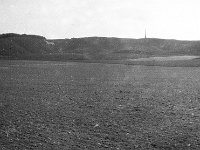 image0274  White Horse, Bath Rd, Cherhill