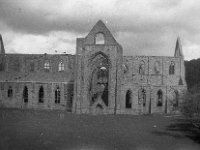 image0337  Tintern Abbey