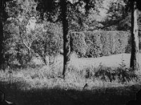 image1633  Yew Cottage, front