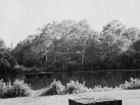 image1688  Lake at St Georges Hills