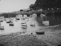 image1722  Saundersfoot Harbour