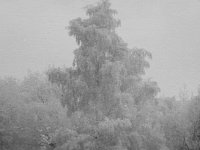image1788
